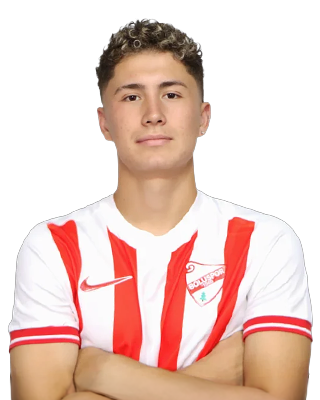 Tolunay Artuç
