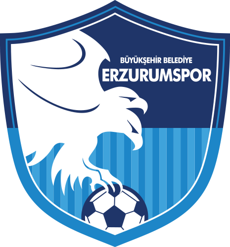 Büyükşehir Belediye Erzurumspor